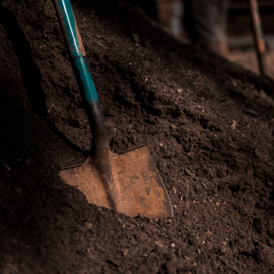 Shovel in Compost